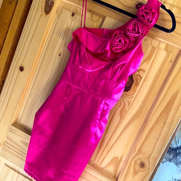 Fuchsia Formal Dress - Picture 1 of 4